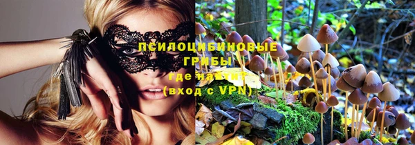 амф Алексеевка