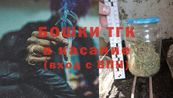 индика Горно-Алтайск